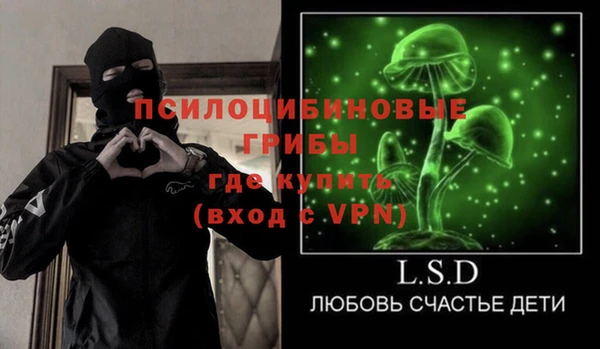 стаф Абинск