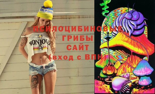 2c-b Аша