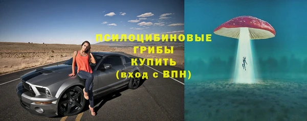 кокс Абаза