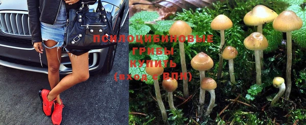 марки lsd Алзамай